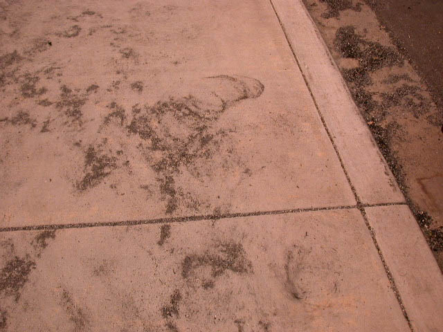04_sidewalk