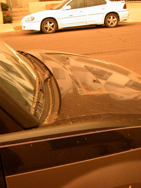 07_ashoncar