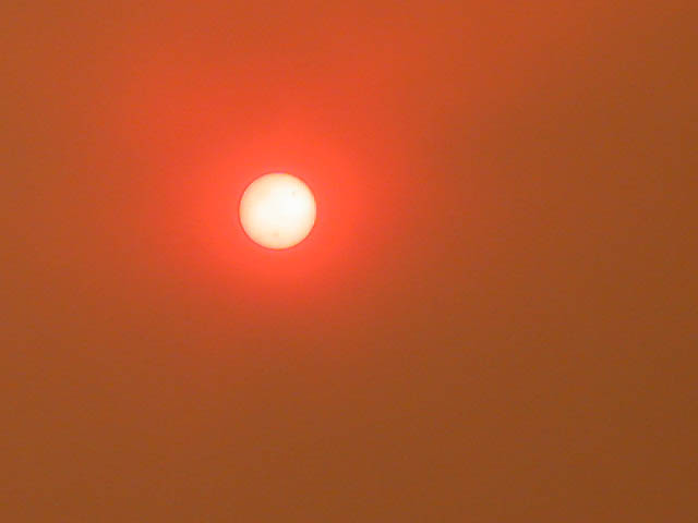 29_sun