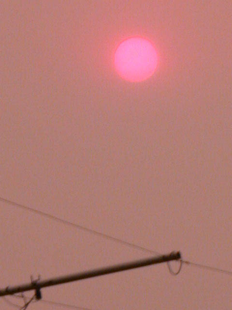 32_redsun
