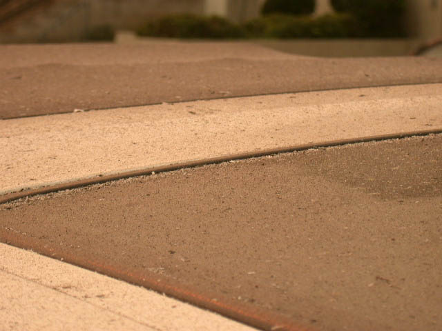 DSCN0944