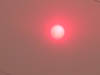 33_redsun