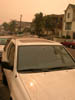 DSCN0942