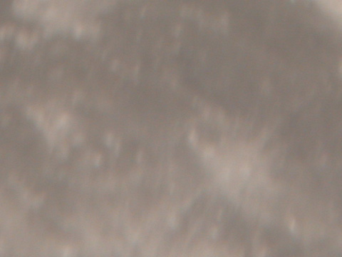 DSCN0259