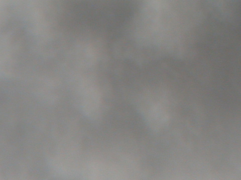 DSCN0260