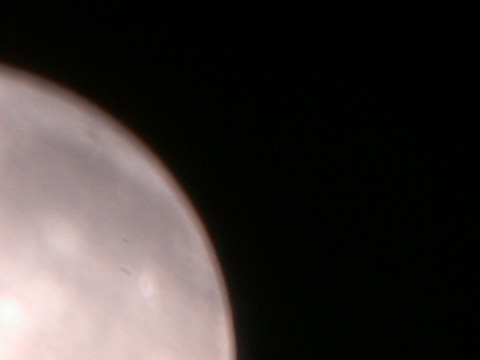 DSCN0261