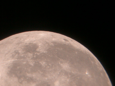 DSCN0262