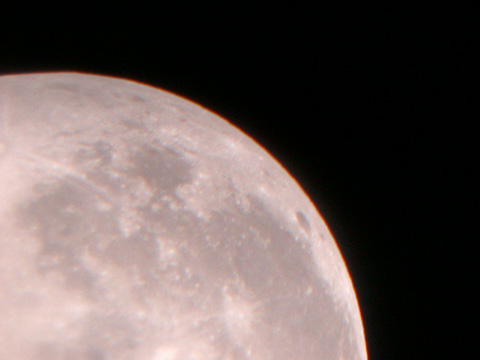 DSCN0266
