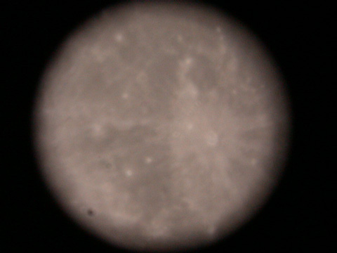 DSCN0275