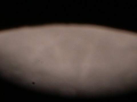 DSCN0279
