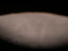 DSCN0279