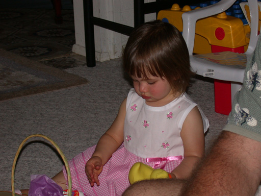 DSCN0739