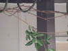 DSCN0764