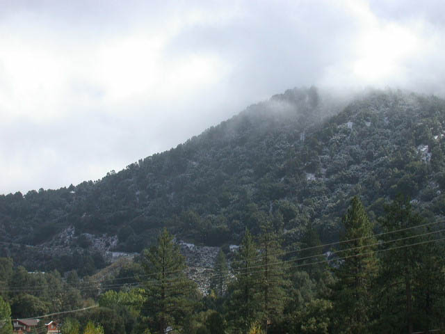 11_pine_mountain