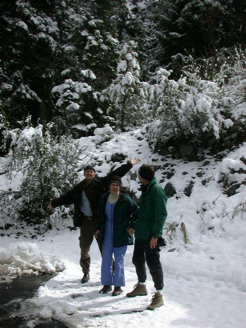 12_out_in_the_snow