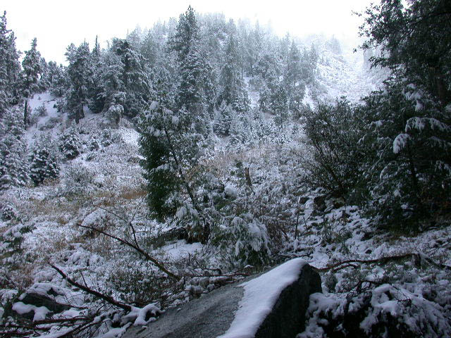 27_hillside_in_mist