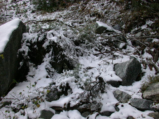 28_snowcovered