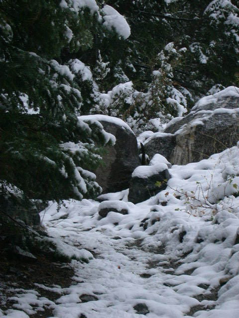 32_snow