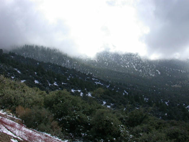 34_view
