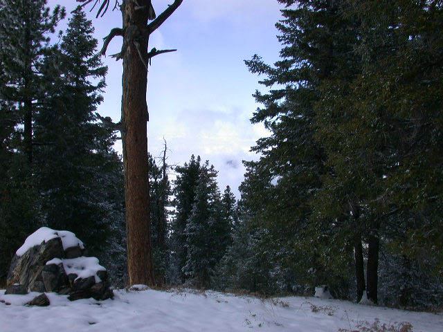 35_mt_able