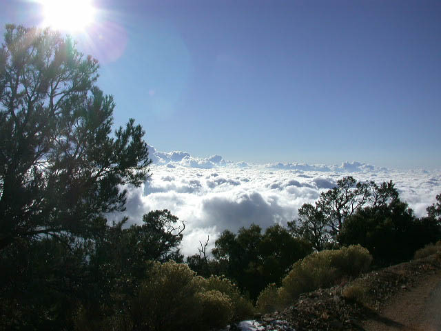 42_above_the_clouds
