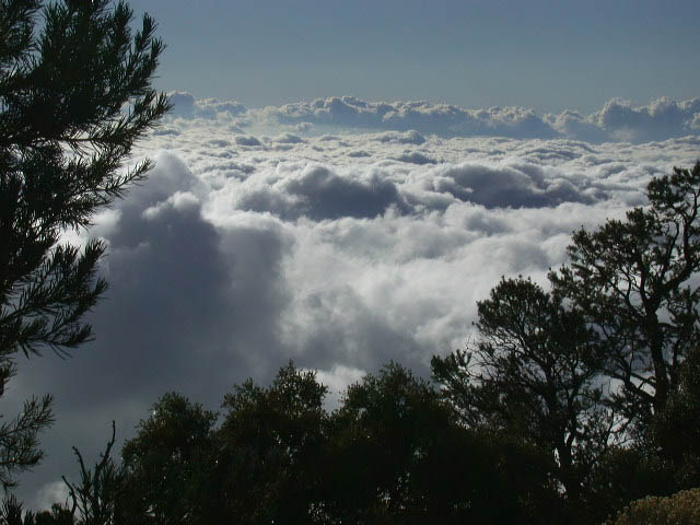 44_above_the_clouds