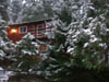 01_drews_house