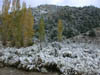 06_danas_back_yard
