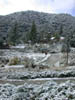 08_pine_mountain_club