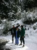 12_out_in_the_snow