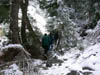24_walk_in_enchanted_forest
