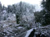 27_hillside_in_mist