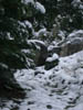 32_snow