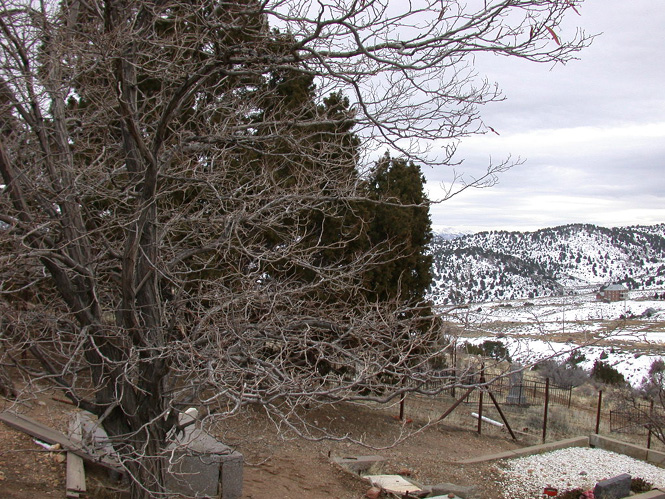 Img20040214_0010