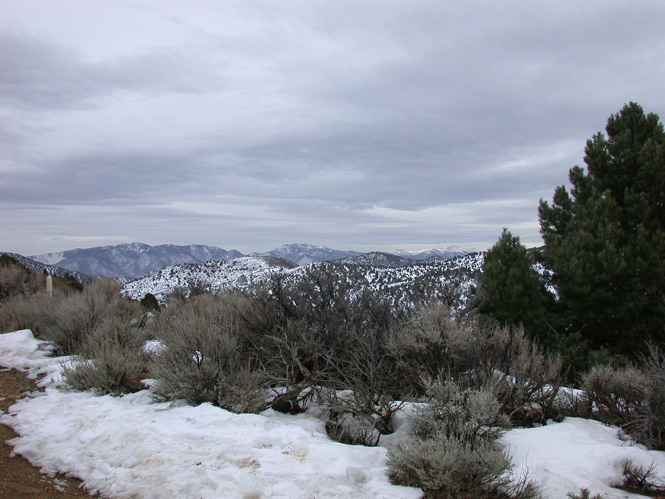 Img20040214_0022