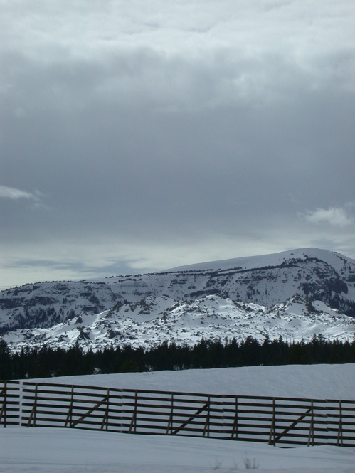 Img20040216_0007