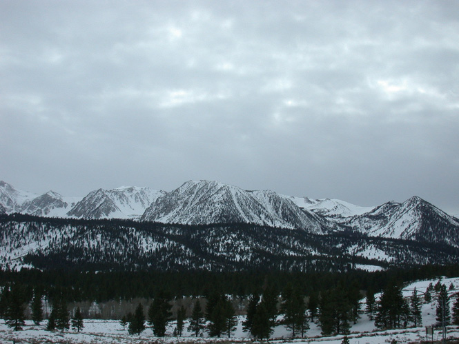 Img20040216_0021