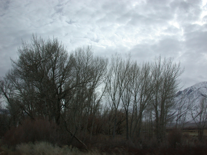 Img20040216_0042