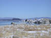 Img20040213_0005