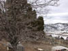 Img20040214_0010