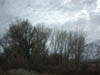 Img20040216_0042